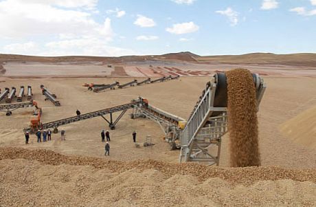 طلای ساری‌گونی به تولید رسید