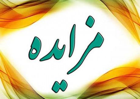اموال گروه آریا را 2 برابر پیش بینی های اولیه فروختیم