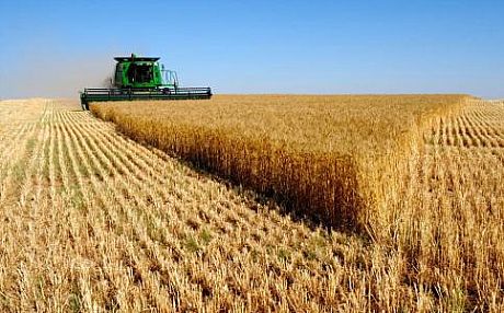افزایش سهم کسب‌وکارهای کشاورزی از اعتبارات بانک کشاورزی