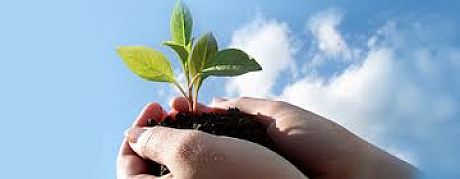 تقویت نمایندگان بیمه ، تقویت مواضع شرکت را در پی خواهد داشت