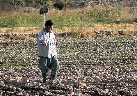شرایط جدید بیمه اجتماعی کشاورزان، روستائیان و عشایر اعلام شد 