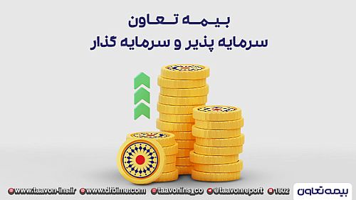 بیمه تعاون، شرکتی سرمایه پذیر و سرمایه گذار