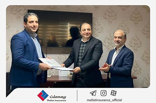  سرپرست مدیریت بازاریابی بیمه ملت منصوب شد