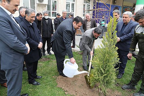 کاشت نهال توسط مدیر عامل بانک ملی ایران به مناسبت روز درختکاری