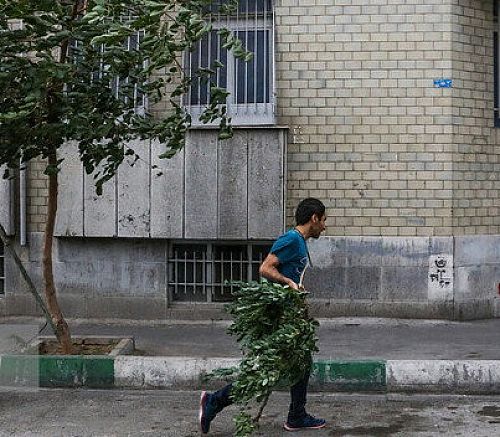  استمرار وزش باد شدید در تهران