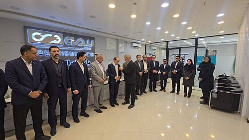 تقدیر رییس شورای راهبردی از بیمه دی