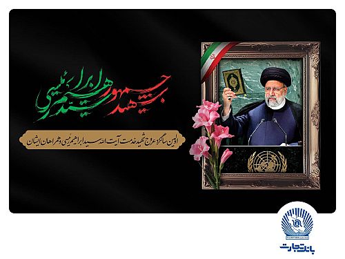 خادم‌الرضا بود، شهید خدمت شد