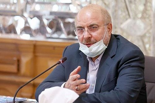 به من می‌گویند قانون پالرمو را ابلاغ نکن! وقتی مجمع به پالرمو رای داده، قانون شده و من وظیفه دارم ابلاغ کنم