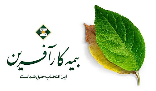 کارآفرین چگونه در ۱۴۰۴ از متوسط صنعت پیشی گرفت؟