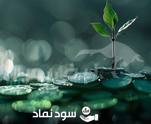 پرداخت سود سهامداران ۱۹ شرکت در هفته سوم شهریور