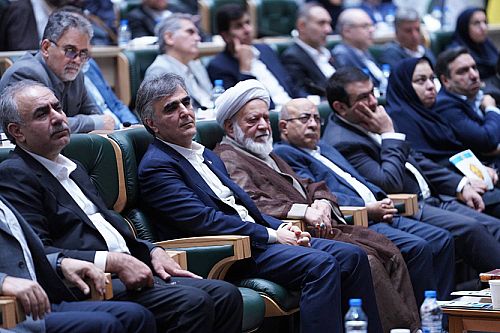 قدردانی فرزین از عملکرد بانک ملی ایران برای افزایش اختیارات استان ها