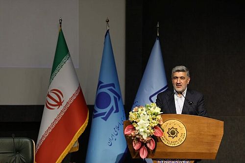 همکاری خوبی میان بازارهای پول و سرمایه شکل گرفته است