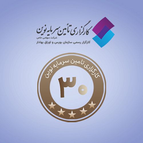 ورود «کارگزاری تامین سرمایه نوین» به باشگاه 30 کارگزاری برتر کشور
