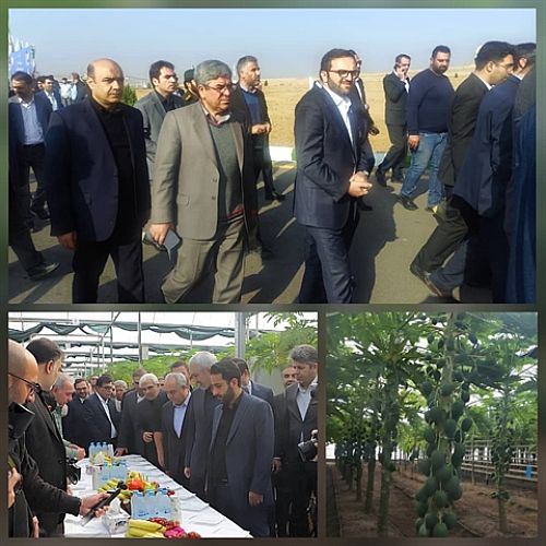 بازدید مدیرعامل بانک کشاورزی و وزیر اقتصاد از پروژه راهبردی «گوزل طبیعت ارس»