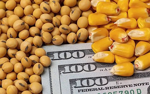 روند تامین ارز کالاهای اساسی و دارو طبق قانون بودجه 1404 ادامه دارد