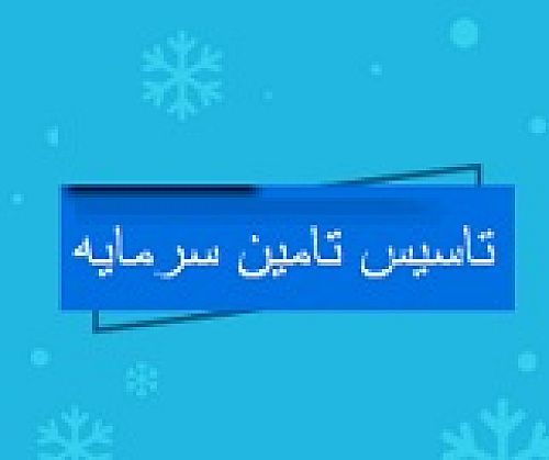 سازمان بورس پس از سال ها ممانعت مجوز تاسیس تامین سرمایه جدید صادر کرد