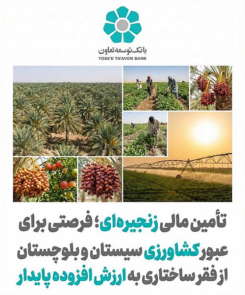 تأمین مالی زنجیره ای؛ فرصتی برای عبور کشاورزی سیستان و بلوچستان از فقر ساختاری به ارزش افزوده پایدار
