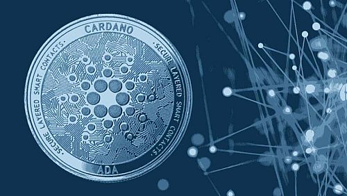 کاردانو برنده بازار سبز امروز 