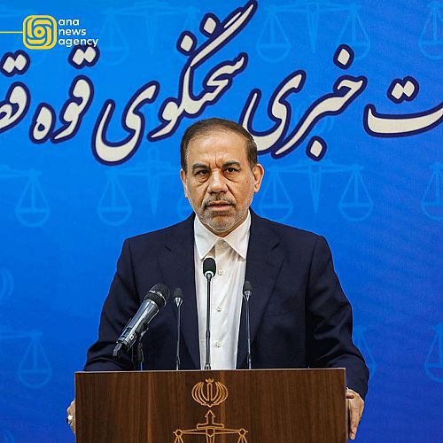 بازداشت مدیرعامل سابق موسسه ملل تایید شد