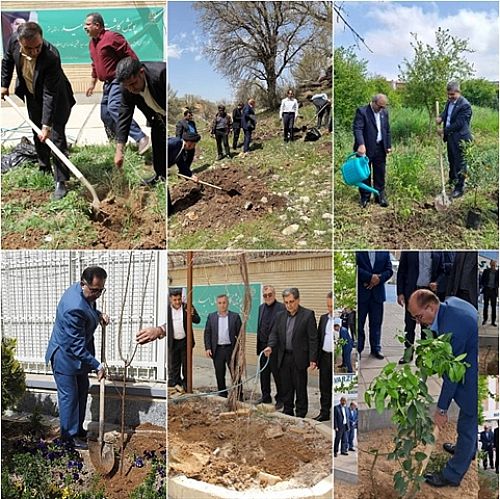 مشارکت مدیران استانی بانک کشاورزی در پویش «غرس نهال امید»
