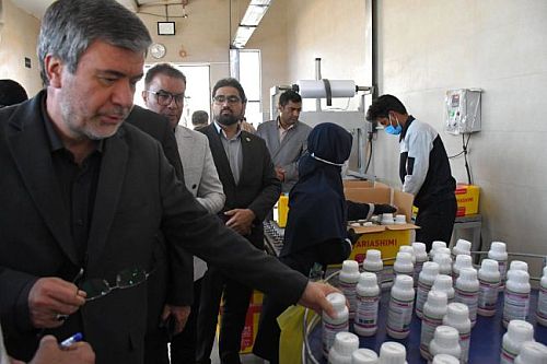 تأکید مدیر عامل بیمه ایران بر حمایت هوشمند از صنایع