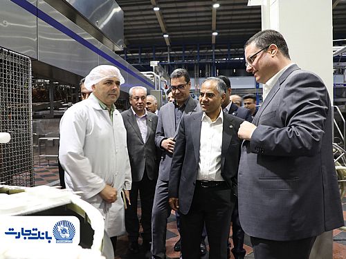 بانک تجارت حامی توسعه و افزایش توان تولیدی «دومینو»
