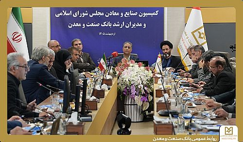 تأکید اعضای کمیسیون صنایع و معادن مجلس بر حمایت از بانک صنعت و معدن برای پشتیبانی از تولید