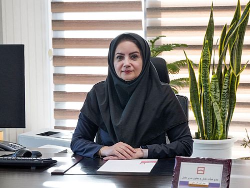 بانک مسکن جایگاه عالی را در ارزیابی بهره وری بانک های دولتی کسب کرد