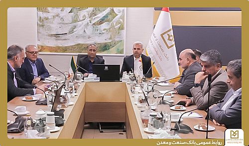 دکتر شایان: مدل کسب و کار بانک صنعت و معدن تغییر می کند