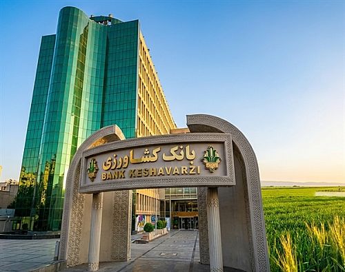 مجموع پرداخت مطالبات گندمکاران از مرز ۵۰ هزار میلیارد تومان عبور کرد