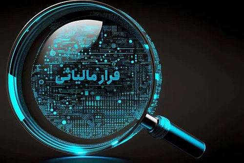 شناسایی و ردیابی شبکه‌های فرار مالیاتی با تکیه بر داده‌کاوی و الگوریتم های هوشمند