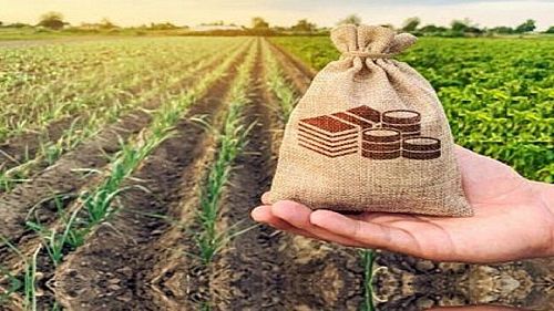 فعال‌سازی بیمه پایه فراگیر ۱۷ کالای اساسی از مهرماه امسال