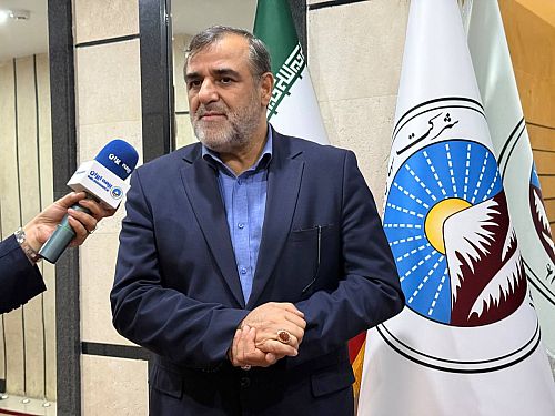  بیمه ایران، بازوی توانمند دولت در مدیریت کلان ریسک‌های اقتصادی