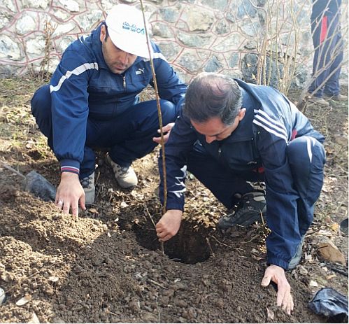کارکنان بانک دی در اردوگاه کلکچال درخت کاشتند