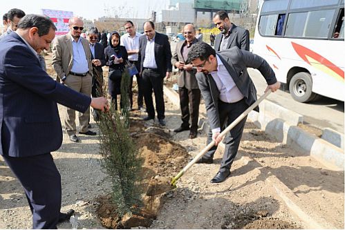  کاشت 12.000 اصله نهال در سراسر ایران  