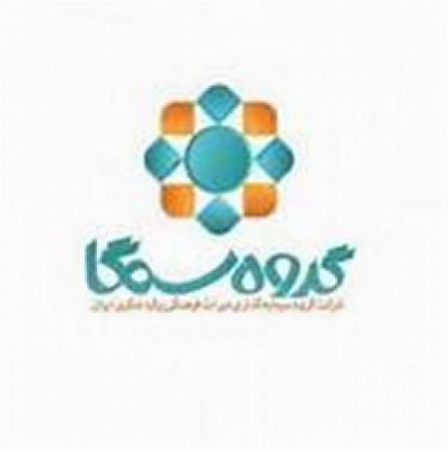 مدیر عامل جدید سمگا معرفی شد