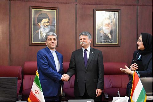 اجرای موافقت نامه همکاری های اقتصادی ایران و مجارستان با تصویب مجلس 