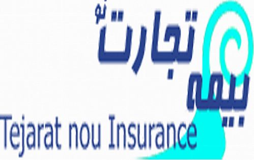 بیمه تجارت نو امسال ۶۳ هزار زائر پیاده امام رضا (ع) را بیمه کرد