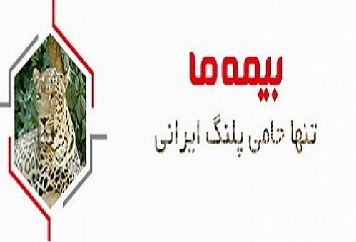 پرداخت دور دوم خسارت پلنگ ایرانی توسط بیمه ما 