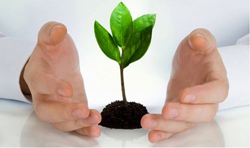 ساماندهی بیمه ها در دولت یازدهم