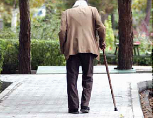 نمایشگاه صندوق های بازنشستگی، پیشران توسعه ملی