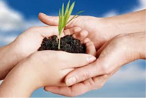 صدور نخستین بیمه نامه شرکت بیمه حکمت صبا به نام فرزند شهید شیرودی 