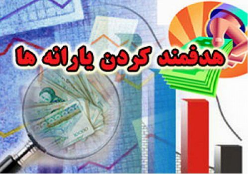 تحقیق و تفحص از نحوه اجرای هدفمندی یارانه ها کلید خورد