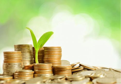 سررسیدهای بازار آتی سکه سبزپوش شدند