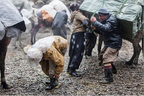 اختصاص ۲ میلیارد تومان برای پیگیری بیمه کولبران