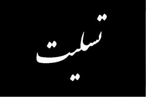 پیام تسلیت وزیر اقتصاد و صدور دستورات برای رسیدگی به زلزله زدگان 