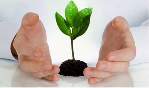 ابراز نگرانی دبیرکل سندیکا از حذف برخی تعهدات بیمه گر پایه  در حوزه درمان