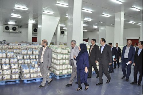 تامین مالی طرح‌های توسعه‌ای شرکت دامداران توسط بانک صادرات 