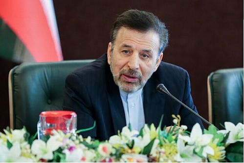 واعظی: از گسترش همکاری‌های فعالان اقتصادی ایران و ترکیه حمایت می‌کنیم