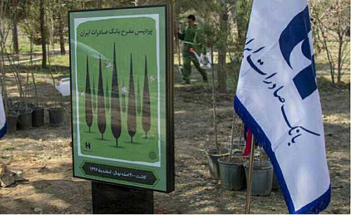 حمایت بانک صادرات از طرح ملی نهضت درختکاری مورد قدردانی قرار گرفت